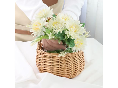 حقيبة ظهر نزهة للنبيذ والجبن سلة قابلة للطي كبيرة مع غطاء