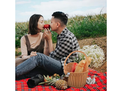 سلة نزهة للاستيراد والتصدير بتغليف مخطط مع مبرد وغطاء خشبي