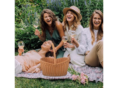 سلة نزهة للاستيراد والتصدير بتغليف مخطط مع مبرد وغطاء خشبي