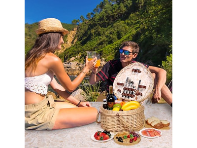 سلة نزهة صغيرة للتخزين مع مقبض خدمة لـ 4 أشخاص للمنزل