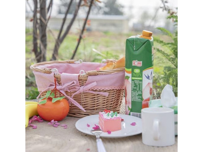 سلات نزهة من رقائق الخشب المنسوجة تخزين قابل للطي دولي