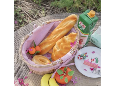 سلات نزهة من رقائق الخشب المنسوجة تخزين قابل للطي دولي